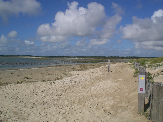CIMG4449.JPG
