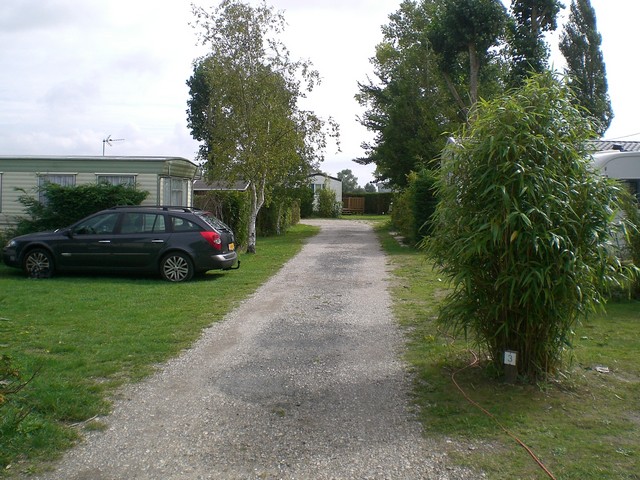 CIMG4459.JPG