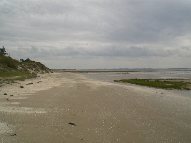 CIMG4482.JPG