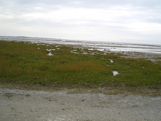 CIMG4483.JPG
