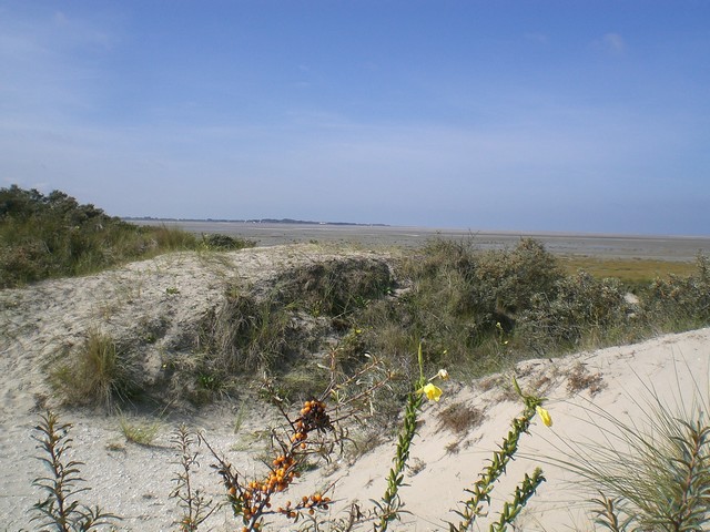 CIMG4529.JPG