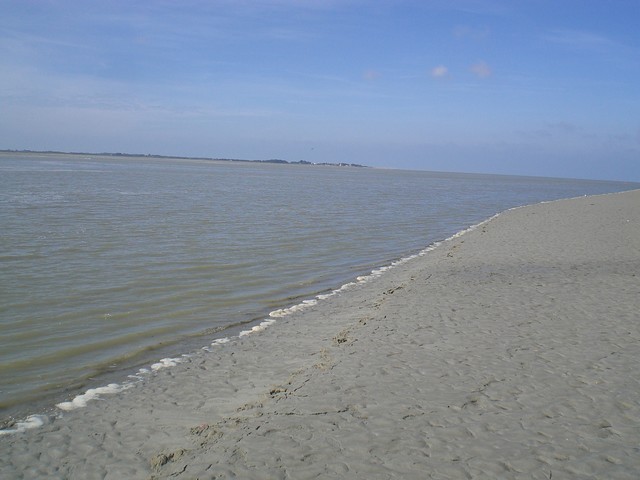 CIMG4540.JPG