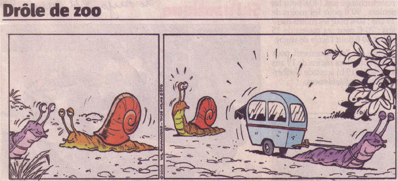 cagouille_800.jpg
