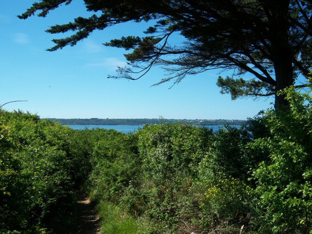 Pointe de Plougastel