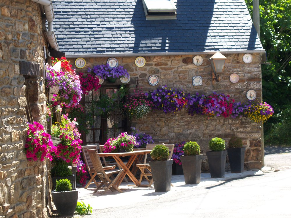 charmante crêperie mais chien non admis même sur la terrasse