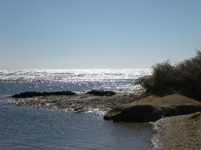 Photo 140 (Small).jpg