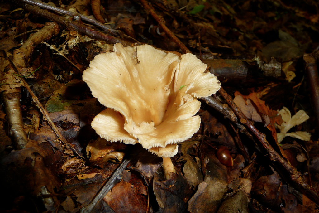 iPhoto-15.jpg