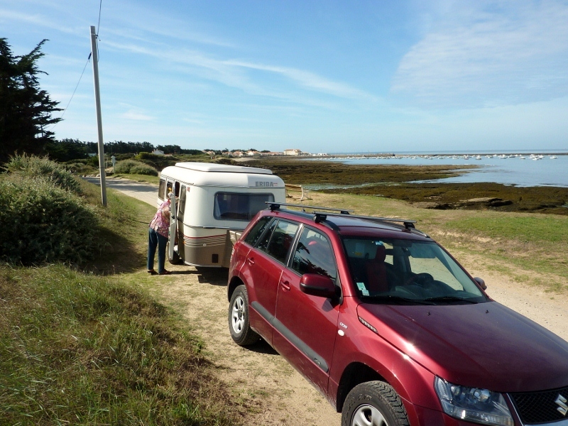 P1010879 (800x600).jpg