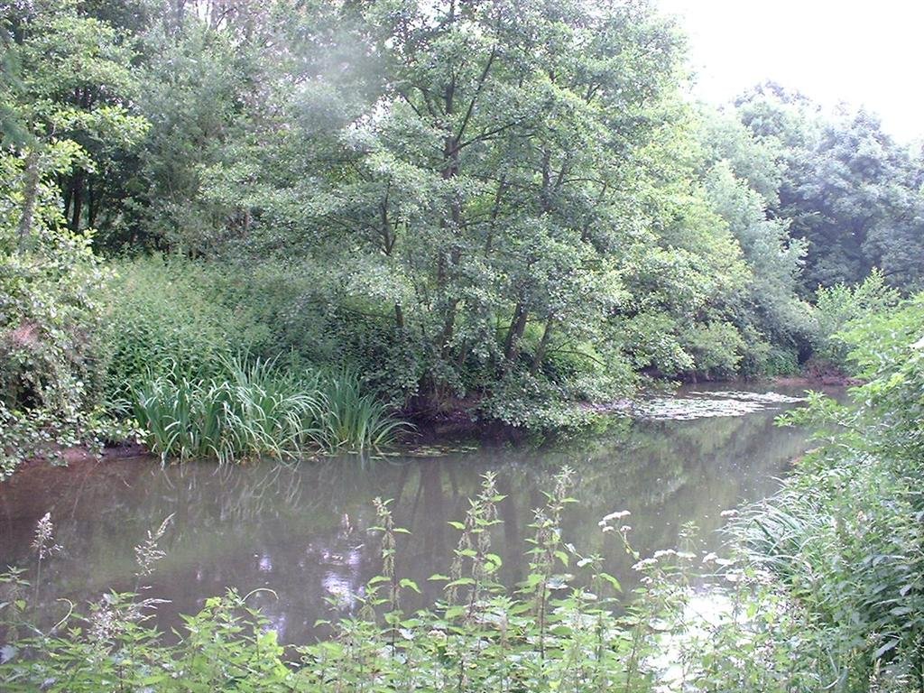 Landelles08 (41) (Large).JPG