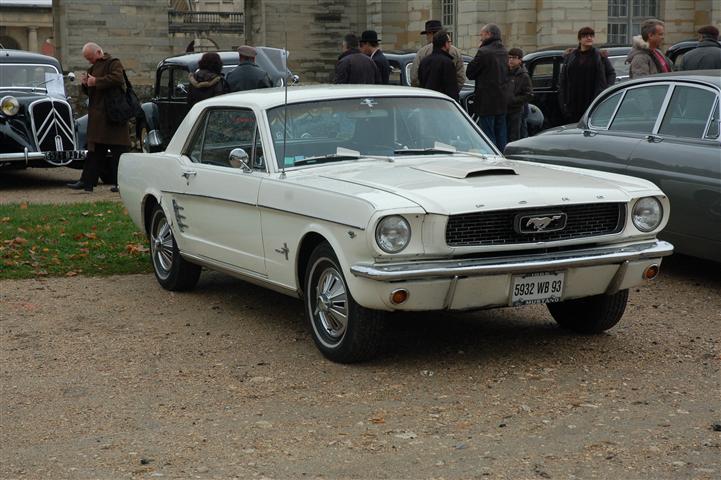 DSC_4525 (Small).JPG