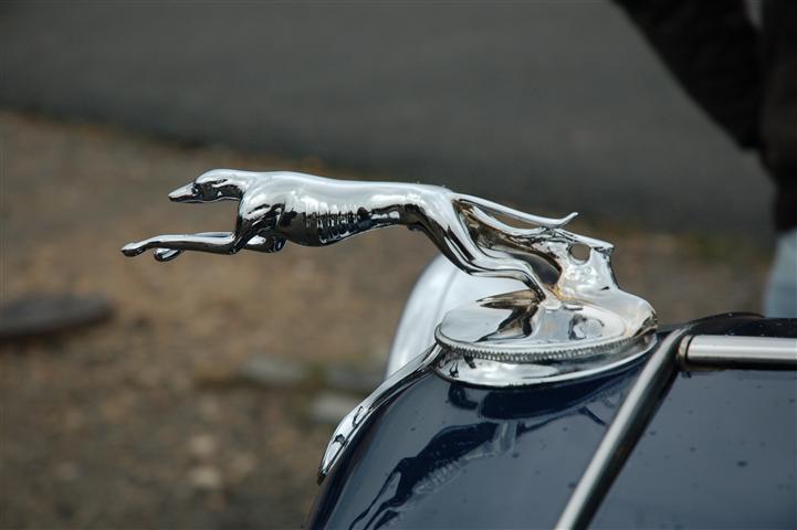 DSC_4576 (Small).JPG