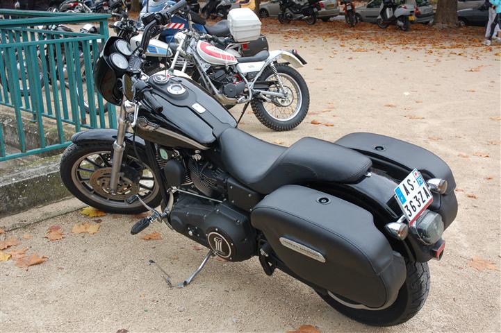 DSC_4611 (Small).JPG