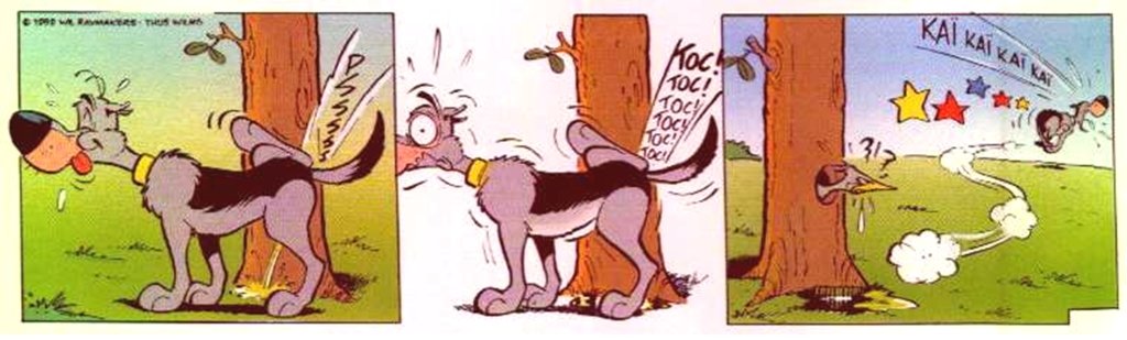 BD humour.jpg