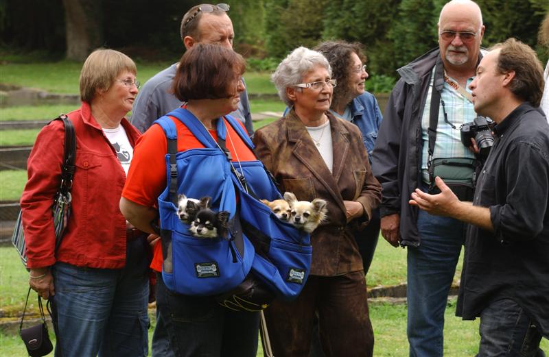 DSC_4340 (Medium).JPG