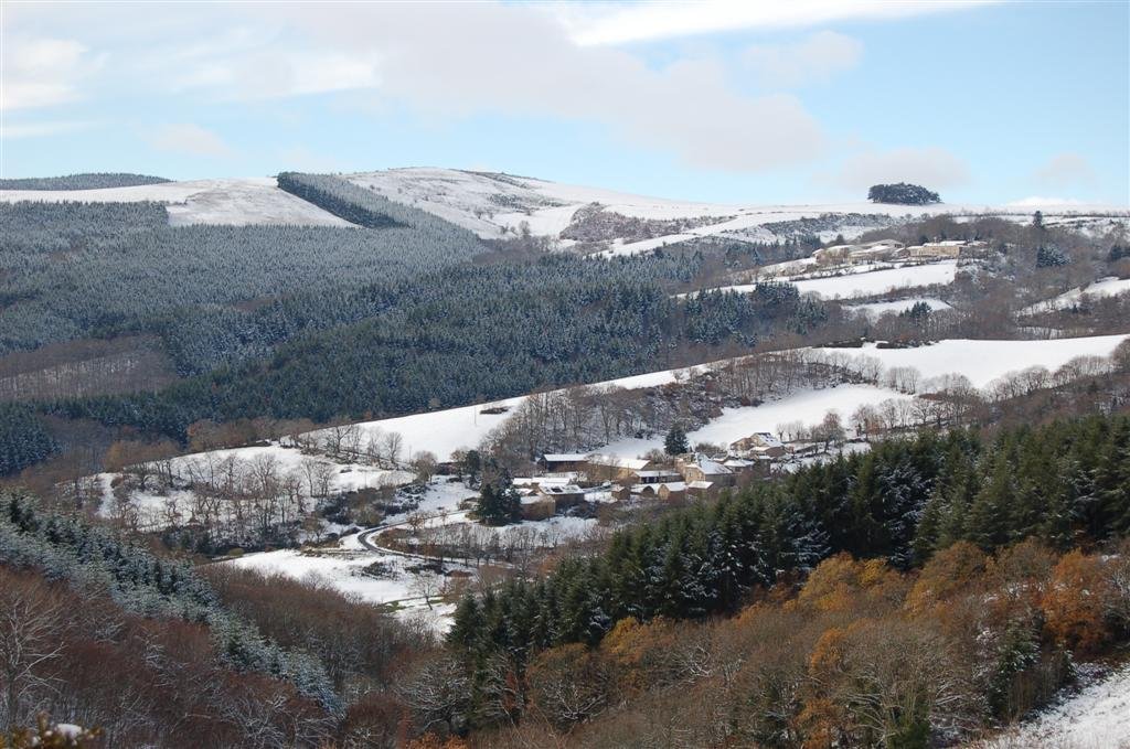 Novembre 2010 003 (Large).jpg