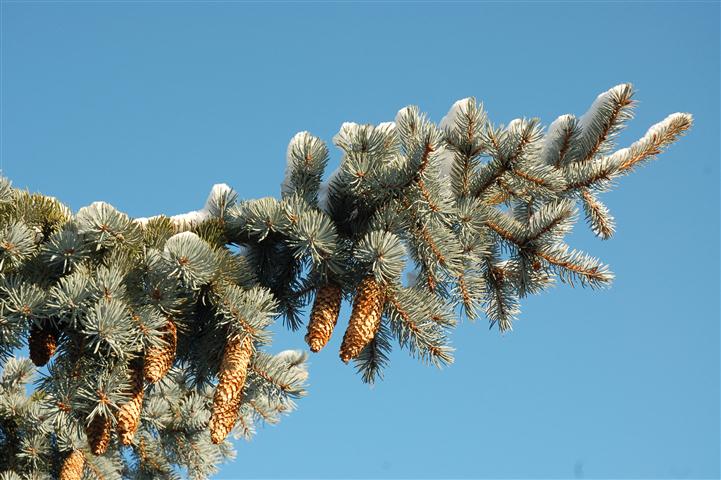 DSC_4878 (Small).JPG