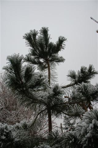 DSC_4855 (Small).JPG