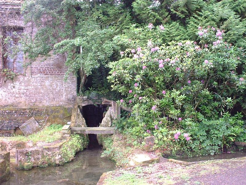 DSCF0022 (Medium).JPG