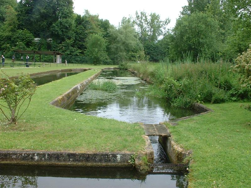 DSCF0029 (Medium).JPG