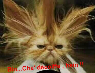 cha-decoiffe.jpg