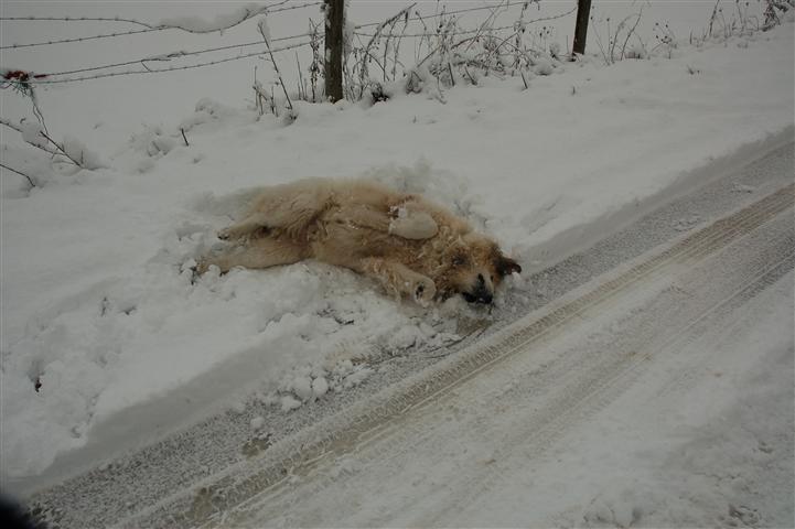 DSC_5025 (Small).JPG