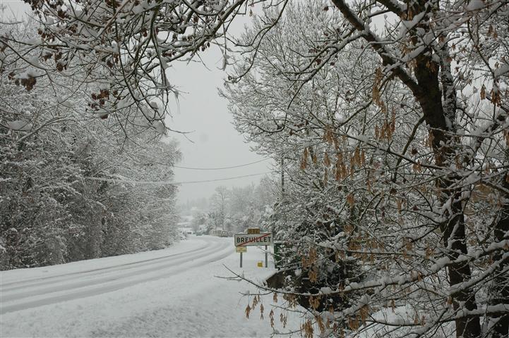 DSC_5045 (Small).JPG