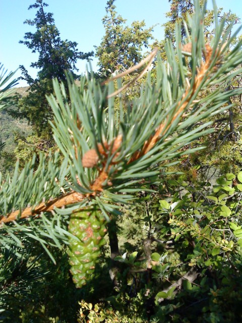 DSC00388.JPG