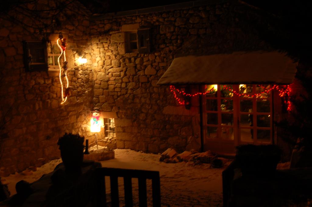 Decembre 2010 089 (Large) (2).jpg