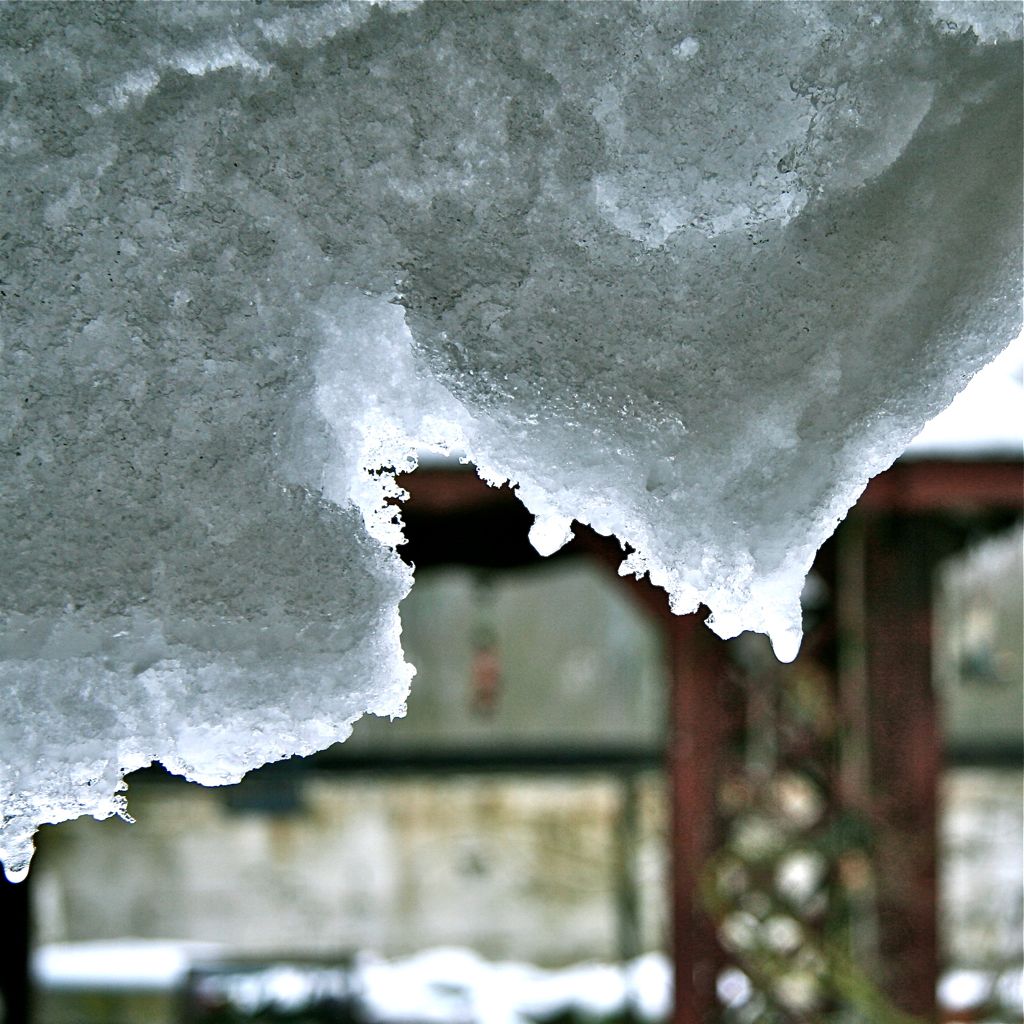 Hiver20101.jpg