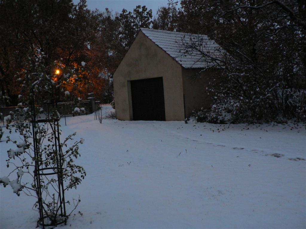 P1040362 (Large) (2).JPG