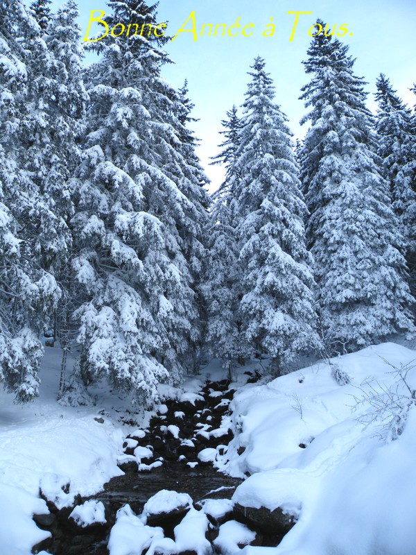 DSCF0405.JPG