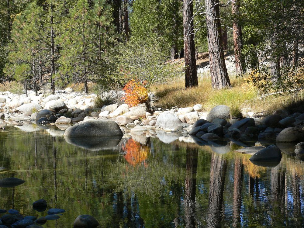 Yosemite Park en Californie