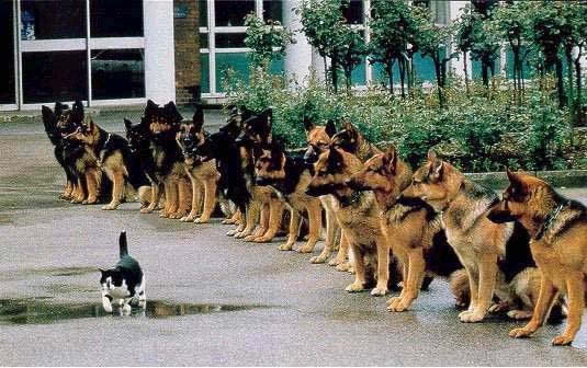 Humour-insolite.jpg