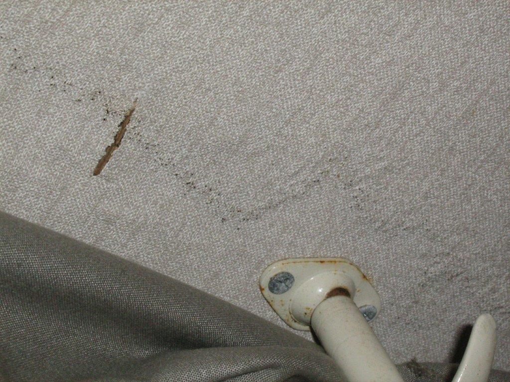 IMG_1412.jpg