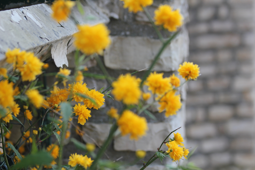 20110408_0136-1024.JPG