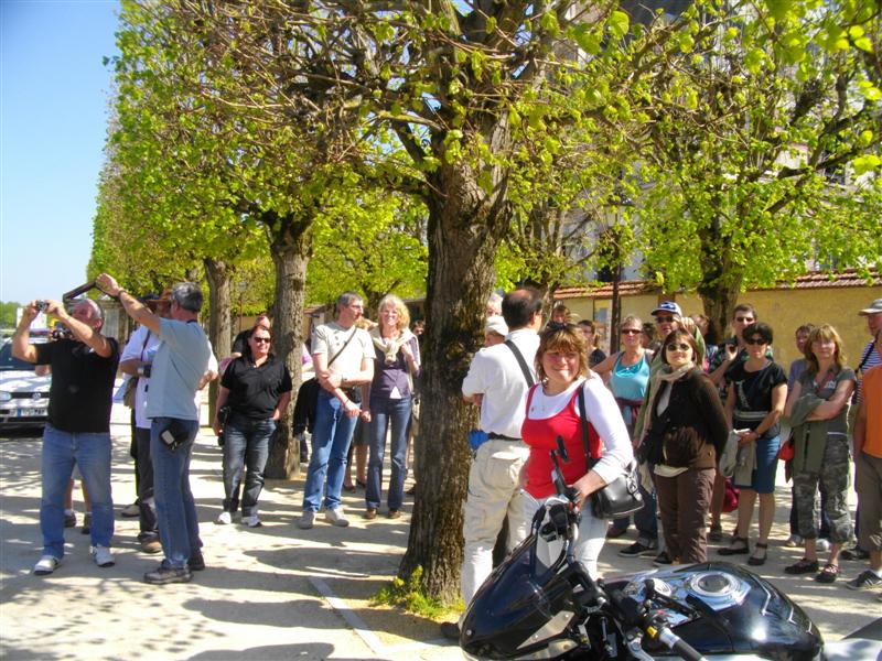 IMGP2558 (Medium).JPG