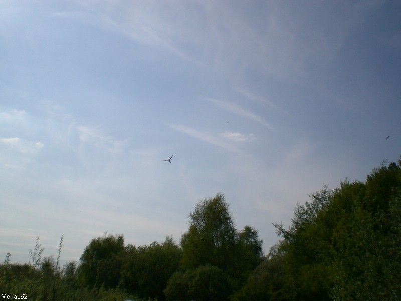 CIMG5120.jpg