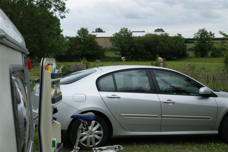 au camping "aux pommiers" les vaches comme voisines