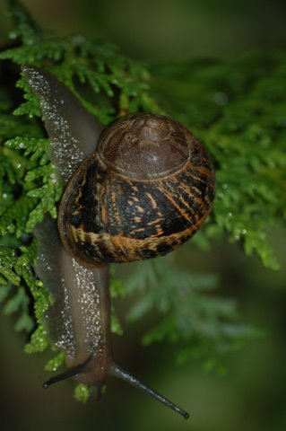 DSC_6194.JPG