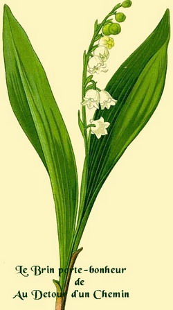 muguetportebonheur_red.jpg