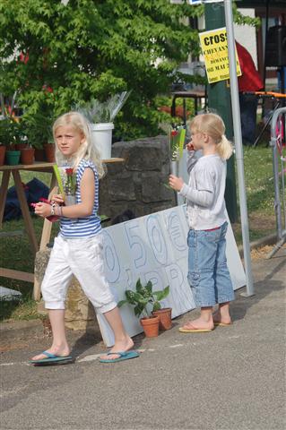 DSC_6248 (Small).JPG