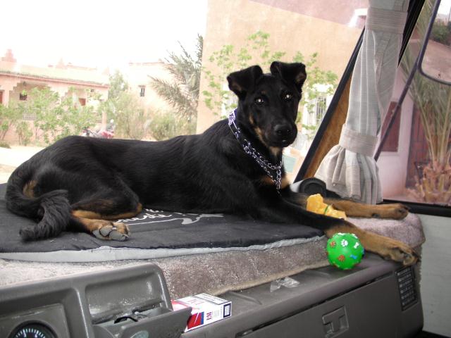 SANY0002.JPG