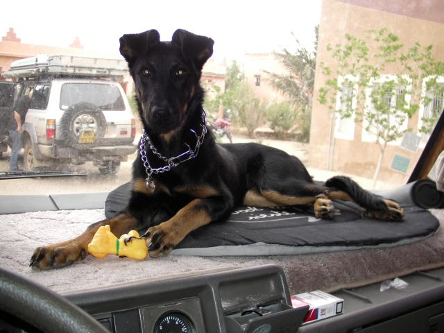 SANY0004.JPG