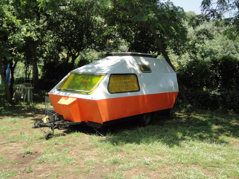 DSC01785 [800x600].jpg