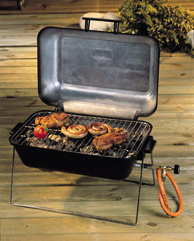 bbq006.jpg