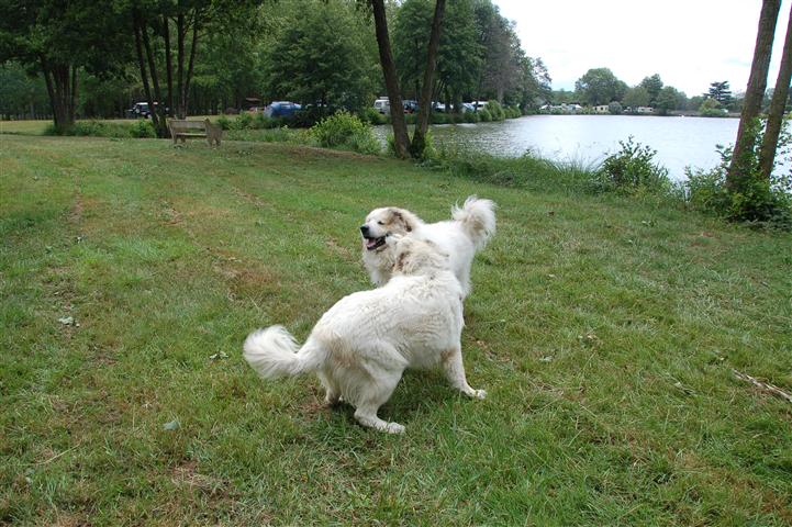 DSC_6956 (Small).JPG