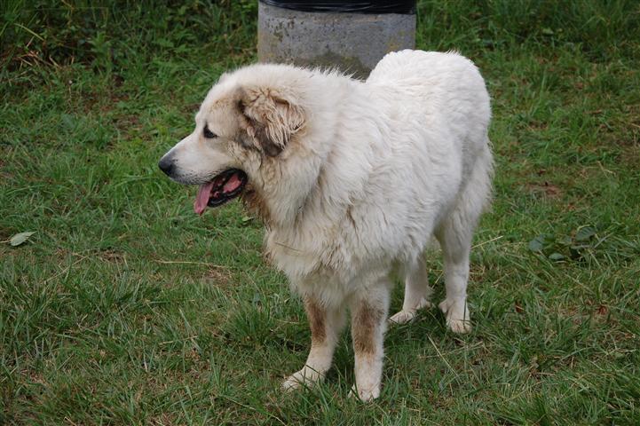 DSC_6963 (Small).JPG