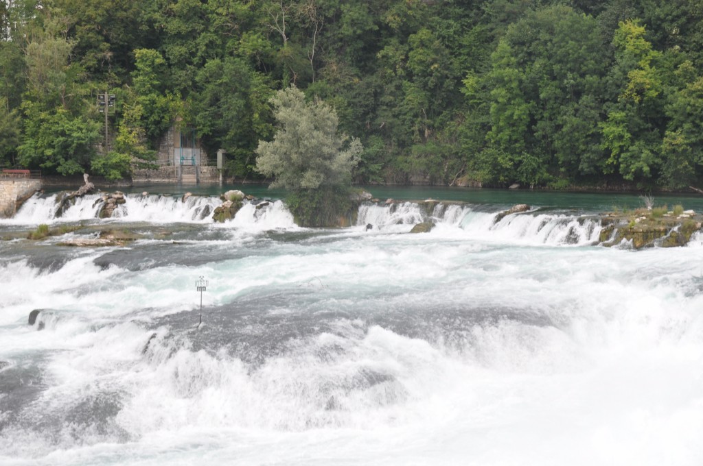 Chutes du Rhin_01.JPG