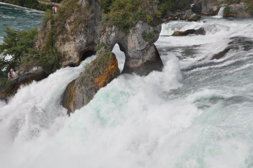 Chutes du Rhin_02.JPG
