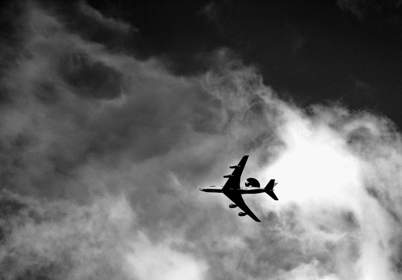 DSC_0395 800x600.jpg